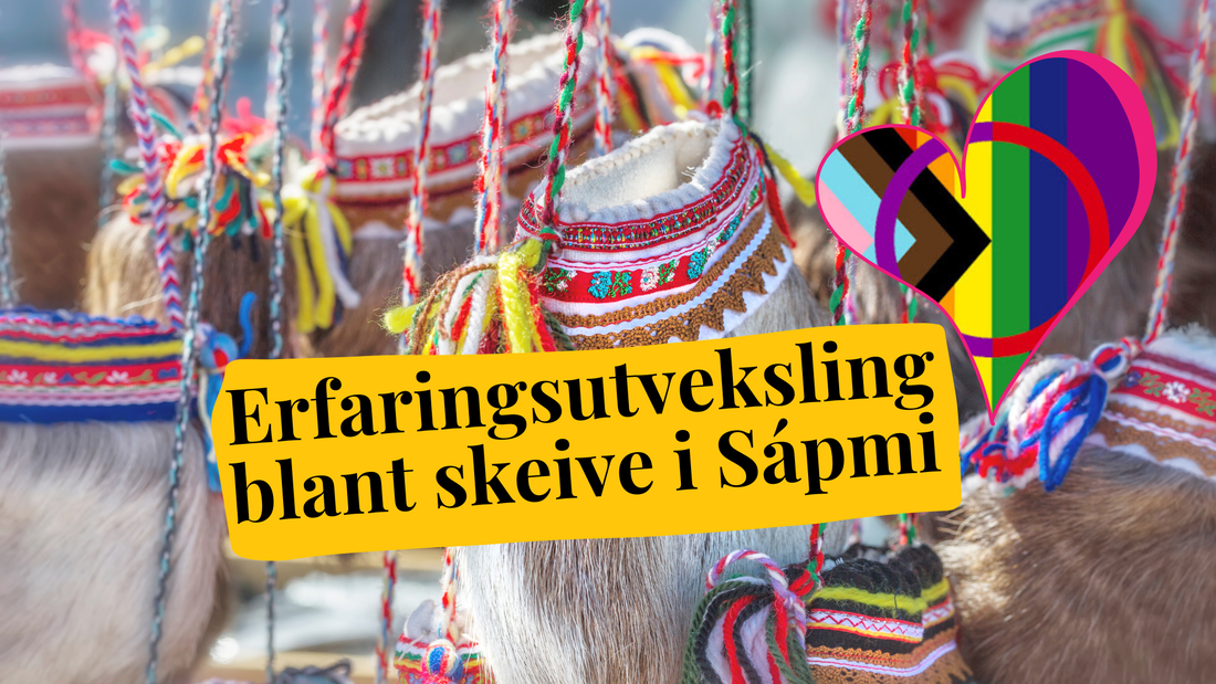 Erfaringsutveksling blant skeive i Sápmi