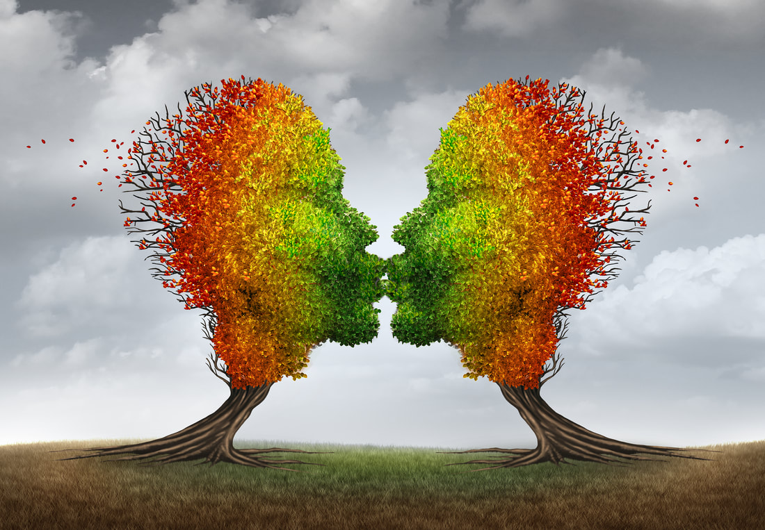Bilde av to trær formet som kyssende menneskehoder. Trærne skal illustrere prosjektet eldre og seksuell helse. Foto: Shutterstock